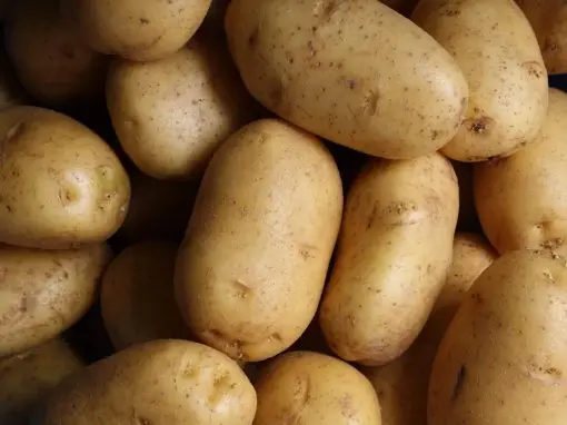 Lyonnaise Potatoes – IDDSI Level 4 Recipe