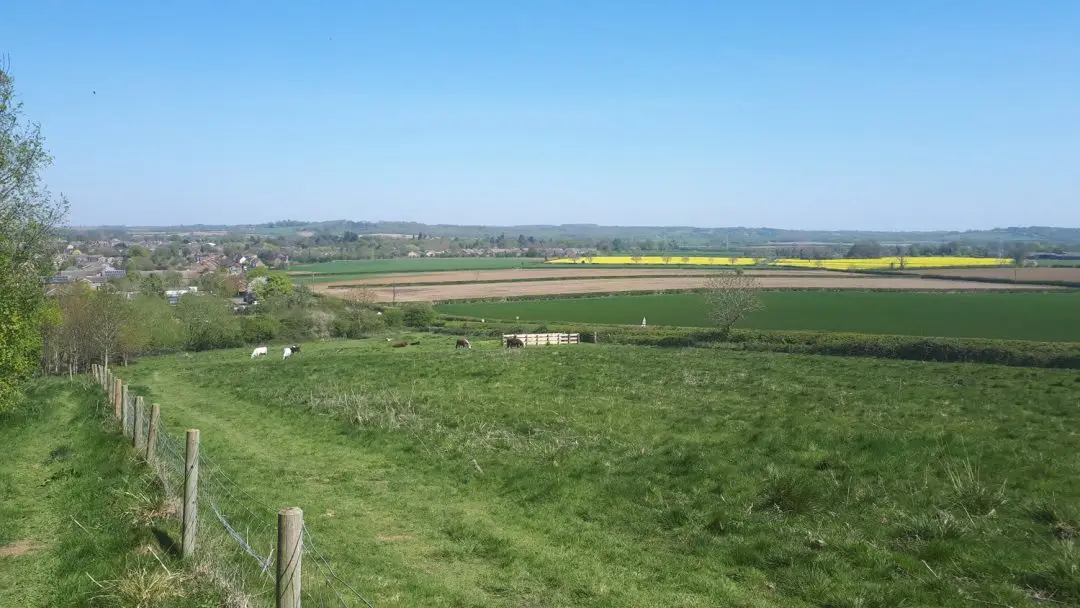 Online Agriculture Show | OHK