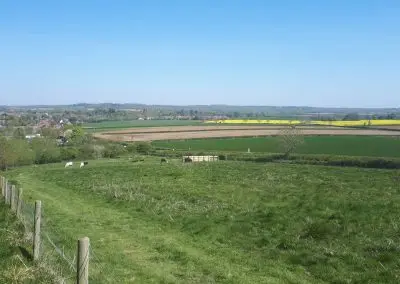 Online Agriculture Show – Rutland Focus