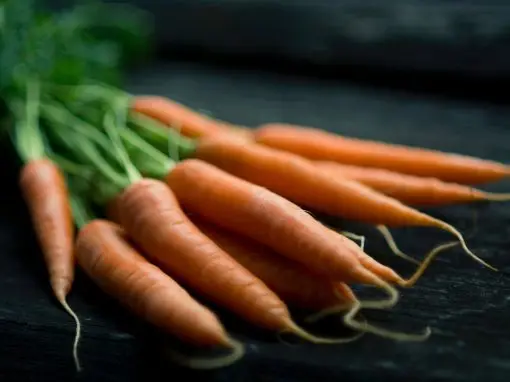Braised Carrots – IDDSI Level 4 Recipe