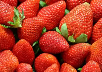 Strawberries for Dysphagia Diets