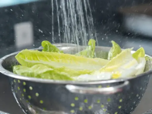 Definition of Food and Drink – Dementia