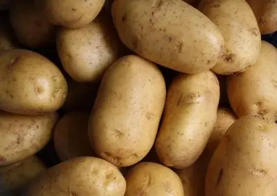 Lyonnaise Potatoes – IDDSI Level 4 Recipe