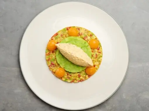 Spiced Chicken Salad with Mango
