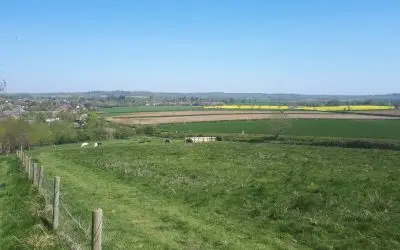 Online Agriculture Show – Rutland Focus
