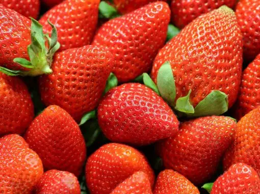 Strawberries for Dysphagia Diets